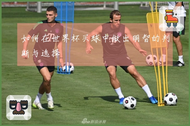 如何在世界杯买球中做出明智的判断与选择