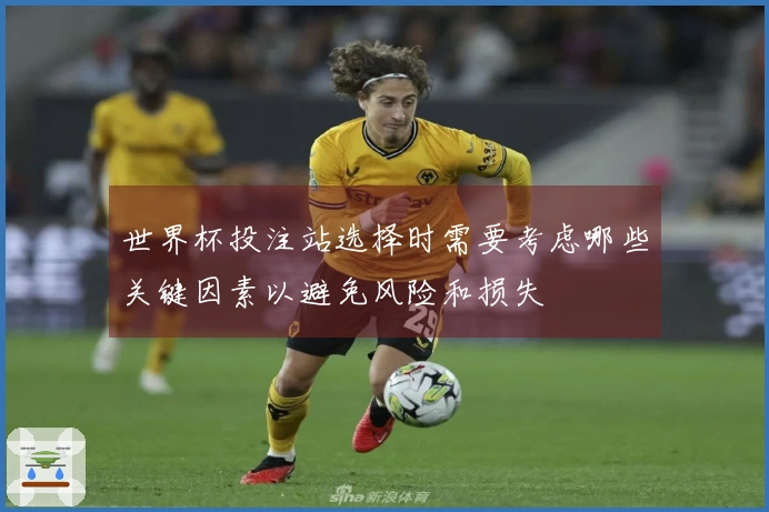 世界杯投注站选择时需要考虑哪些关键因素以避免风险和损失