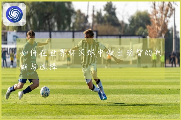如何在世界杯买球中做出明智的判断与选择